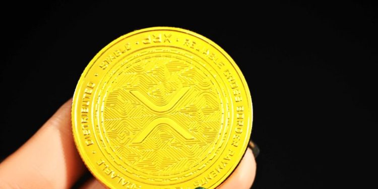 découvrez comment la récolte de fonds en cryptomonnaie peut transformer votre projet. apprenez les stratégies efficaces pour financer vos idées grâce à la technologie blockchain et aux cryptos.