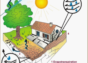 découvrez des solutions efficaces pour protéger votre maison contre les catastrophes naturelles. apprenez comment renforcer votre habitat et assurer la sécurité de votre famille face aux intempéries et événements extrêmes.
