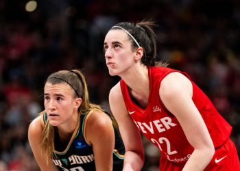 Un collectif de cryptomonnaies s&rsquo;illustre par des lancers de sex-toys sur les terrains de la WNBA